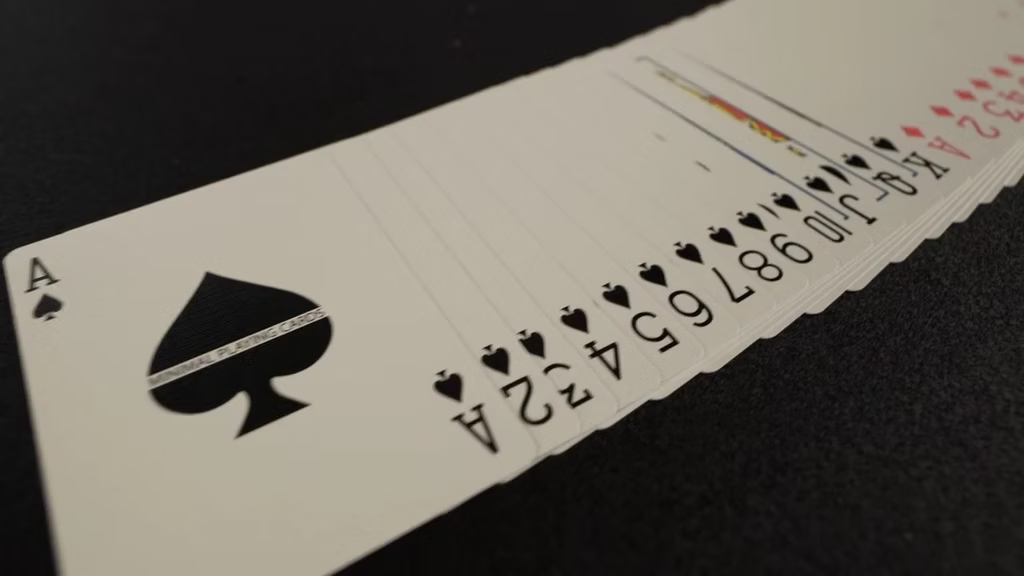 NOC Snow Leopard Signature Playing Cards