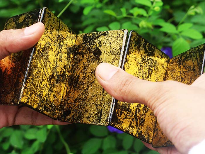 Stardust Cardistry Trainers - Gold Edition